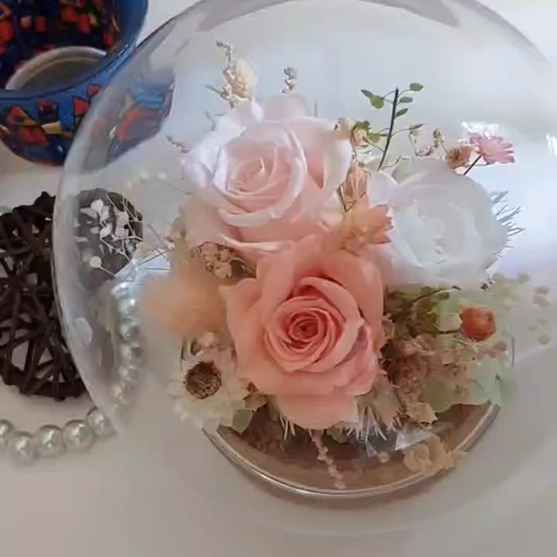 梦幻花园 永生花玻璃罩.花盅 祝贺花礼 生日.情人节.母亲节.毕业 - 干燥花/捧花 - 植物．花 