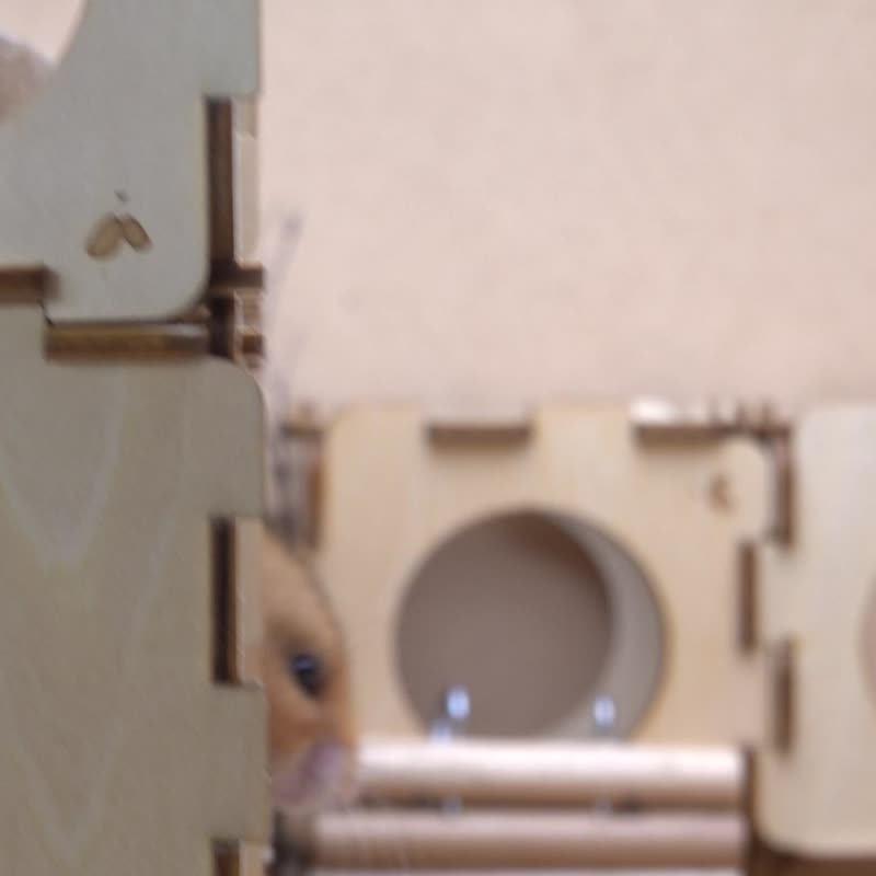 Hamooi手作系列:一箱哈姆_S号 - 其他 - 木头 卡其色