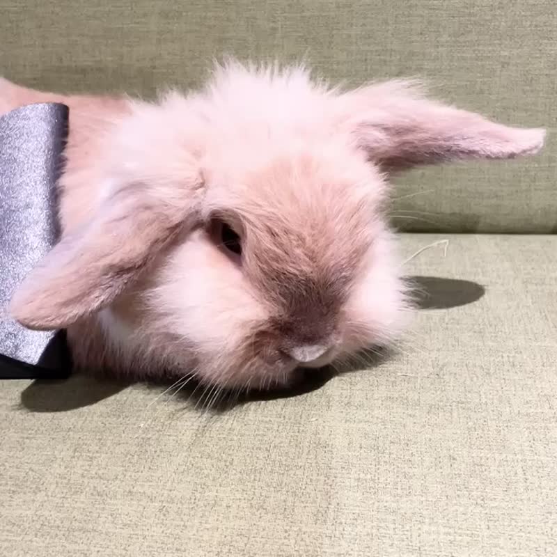 真皮羊皮个性皱折纸纹质感护照套护照包SS23可加工防丢伸缩挂勾 - 护照夹/护照套 - 真皮 咖啡色