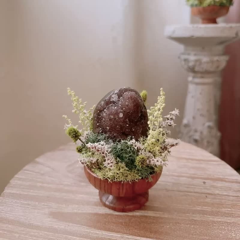 咖紫红彩晶 晶镇 大地色系 镇宅小晶镇。 微景观永生叶材 绿植栽 - 植栽/盆栽 - 水晶 紫色