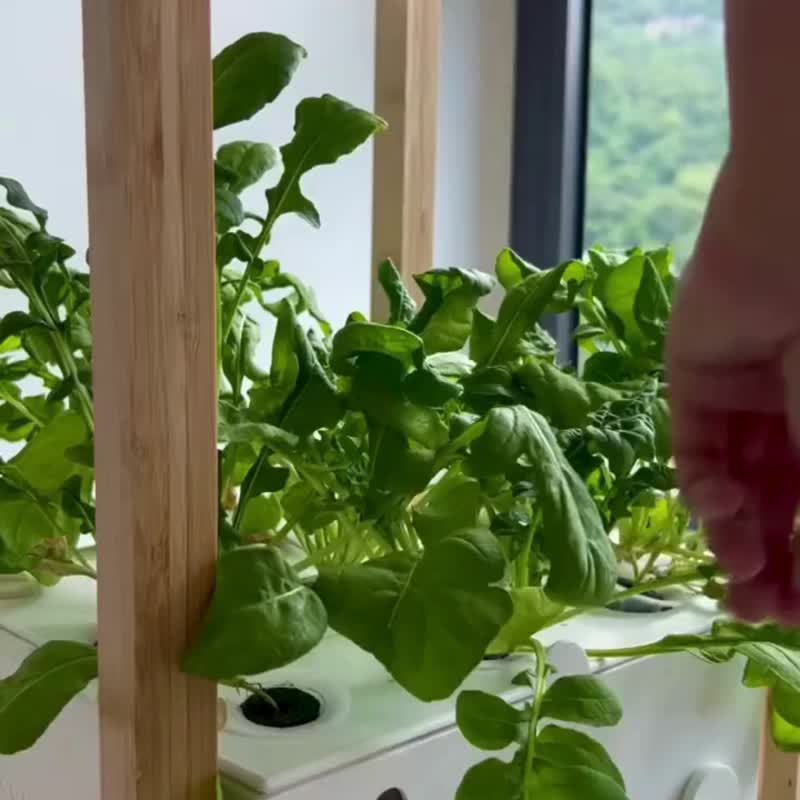 Verda Garden Grow Stack层叠水耕蔬菜智能种菜机 - 植栽/盆栽 - 塑料 白色