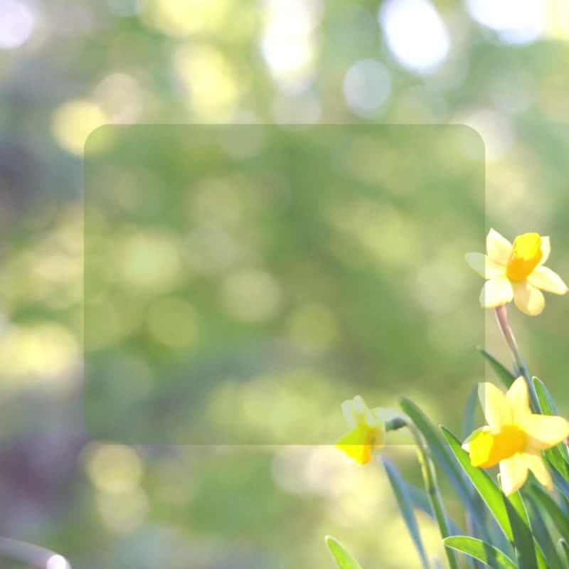 幸福旅行瓶 l 橙花油 洗颜霜 隔离防晒霜_来一趟幸福的轻~旅行 - 身体护肤/按摩油 - 玻璃 