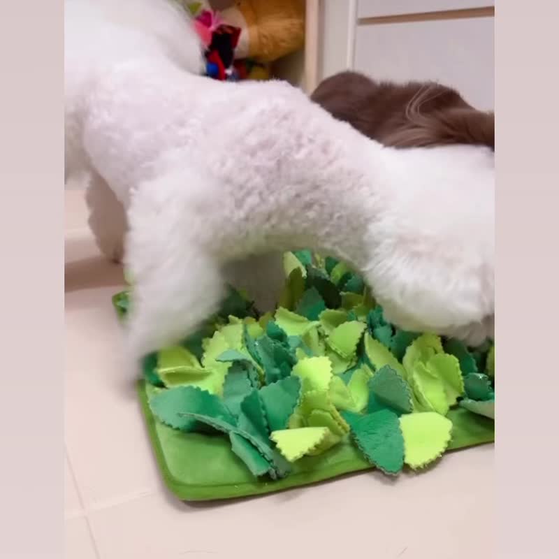Puzzle Grass 忘忧草藏宝嗅闻垫 | 慢食玩乐 猫狗共用 - 玩具 - 其他材质 绿色