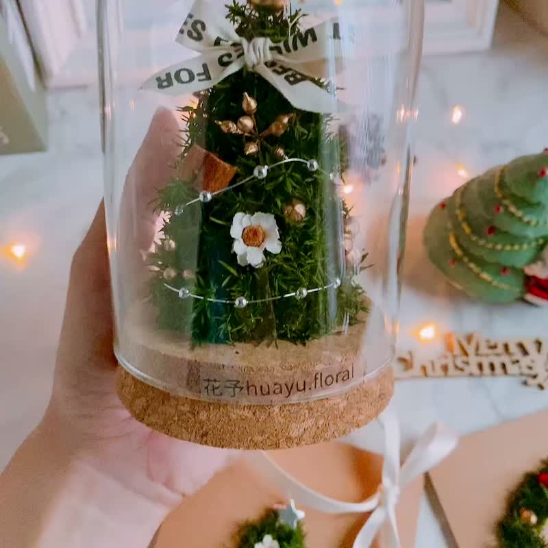 干燥花 永生花 日本雪松 圣诞节 圣诞礼物 圣诞树 交换 玻璃罩 - 干燥花/捧花 - 植物．花 绿色