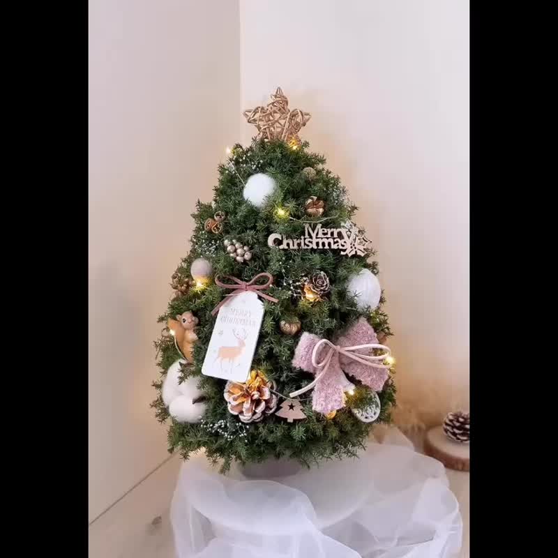 【永生雪松圣诞树】小松鼠的暖冬 l 赠礼盒包装 约高37cm 圣诞树 - 干燥花/捧花 - 植物．花 绿色