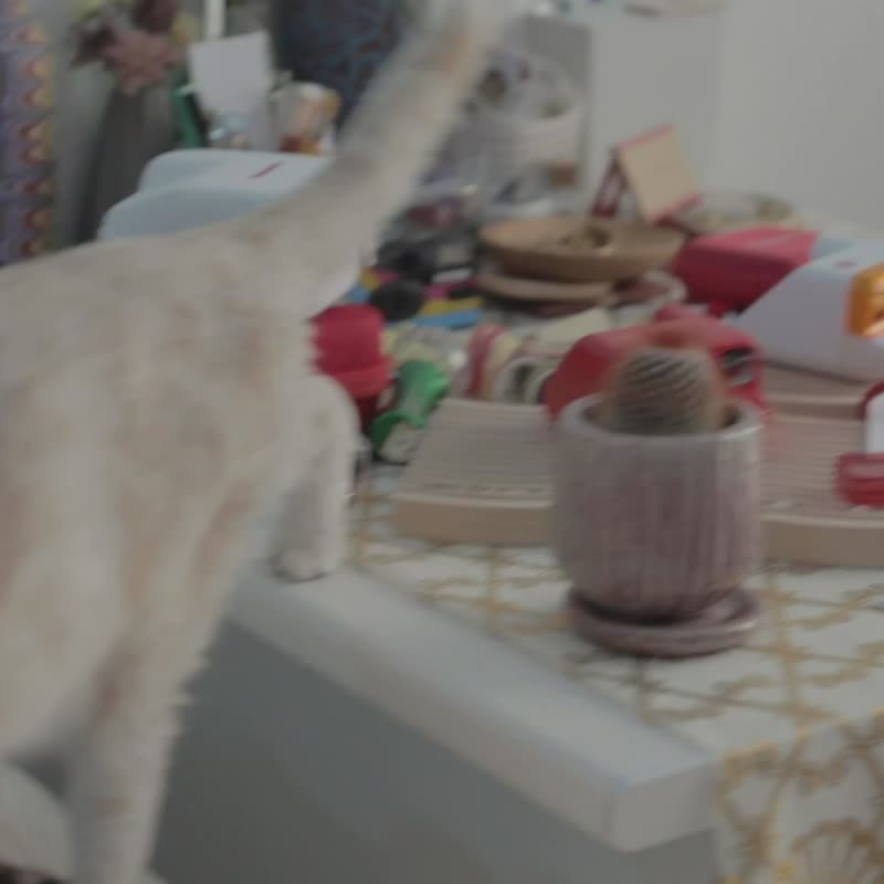 Polaroid GO 拍立得相机 白色-DG05 - 其他数码商品 - 其他材质 