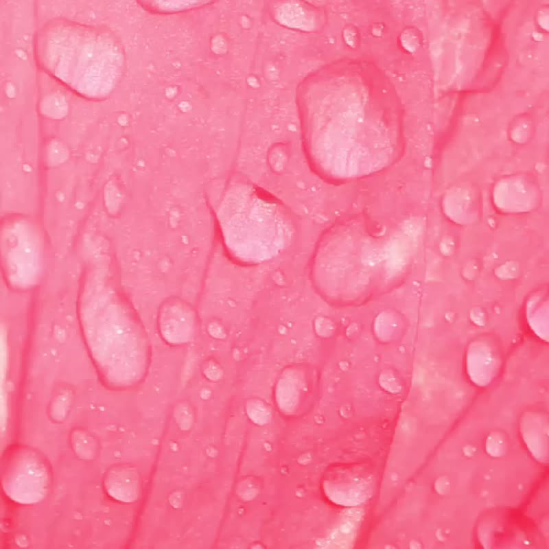 金箔杯垫材料包 押花杯垫材料包 新手必备 环氧树脂 ab胶 手作 - 其他 - 树脂 黄色