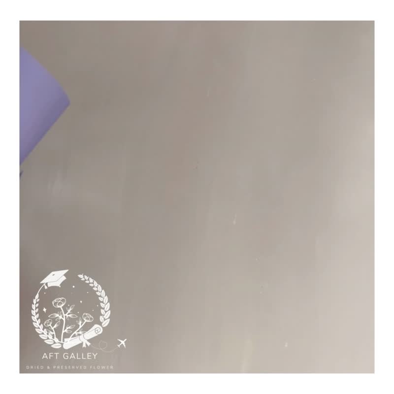 AFT GALLEY 永生玫瑰/ 毕业花束/ 干燥花束 - 植栽 - 植物．花 多色