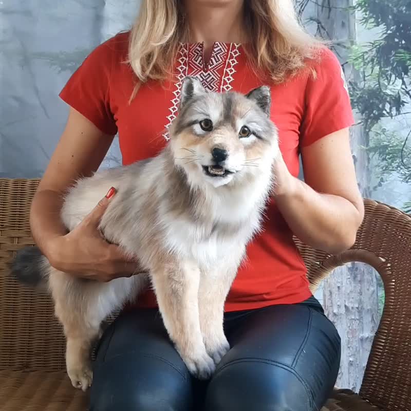 狼崽毛绒玩具。逼真的动物玩具。动物复制品 - 玩偶/公仔 - 其他材质 灰色